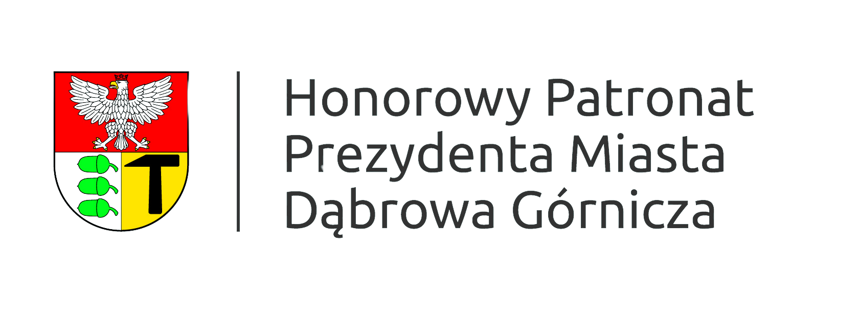 Prezydent Miasta Dąbrowa Górnicza